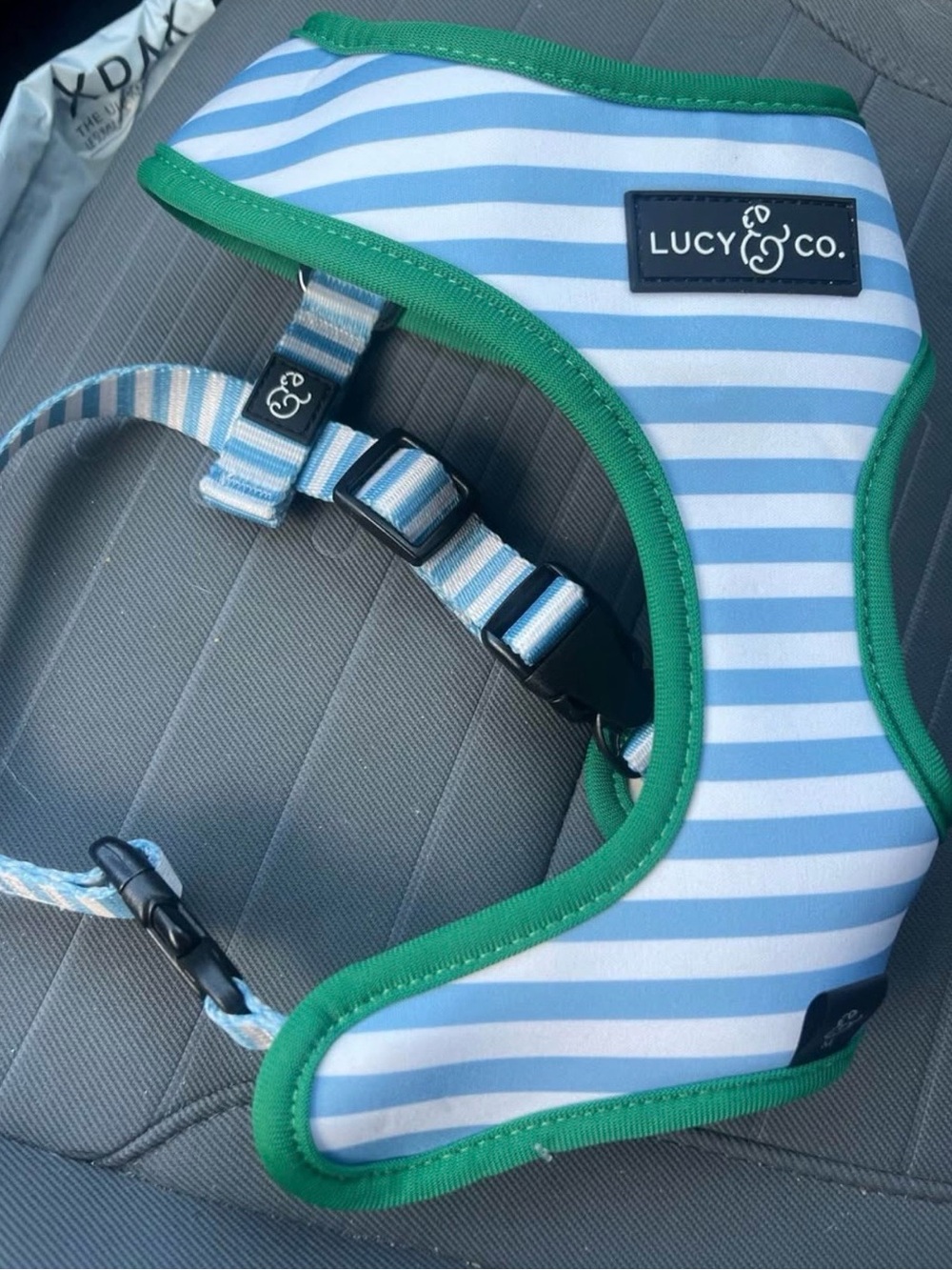Blue Stripe Dog Harness with Green Trim